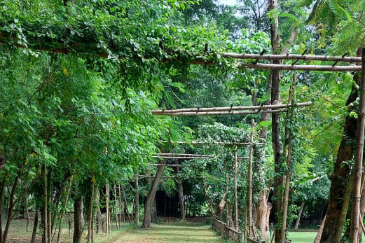 Lumbini Buddha Garden