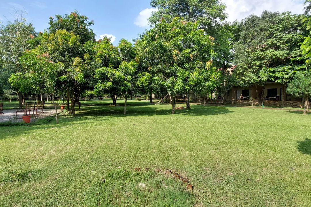 Lumbini Buddha Garden