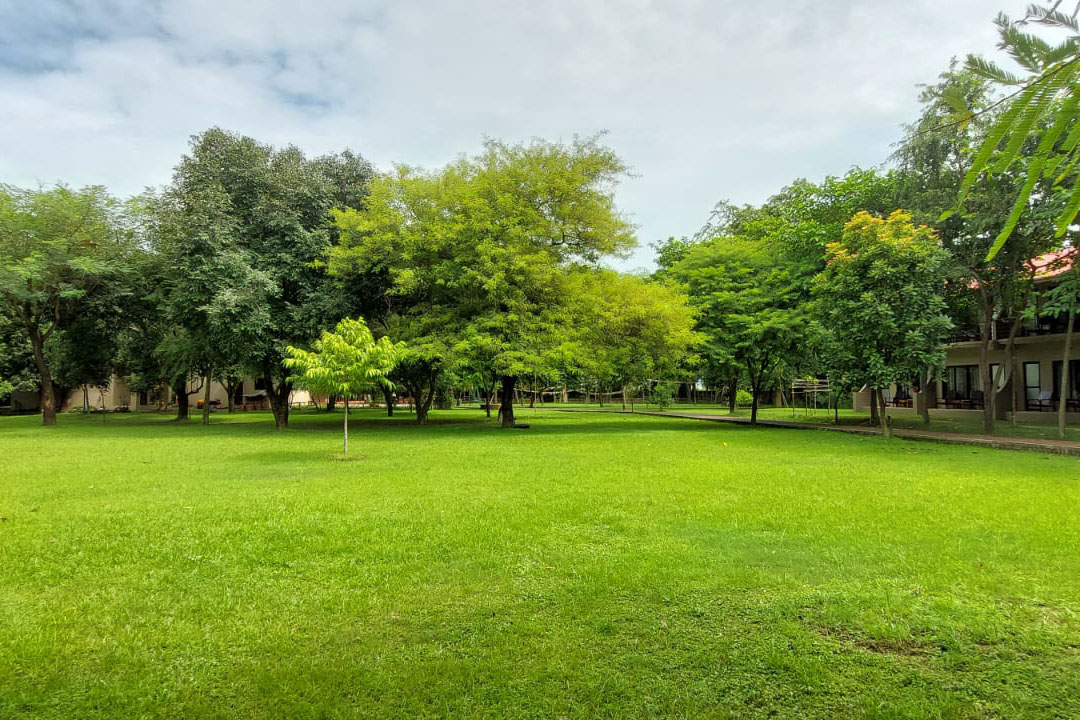 Lumbini Buddha Garden