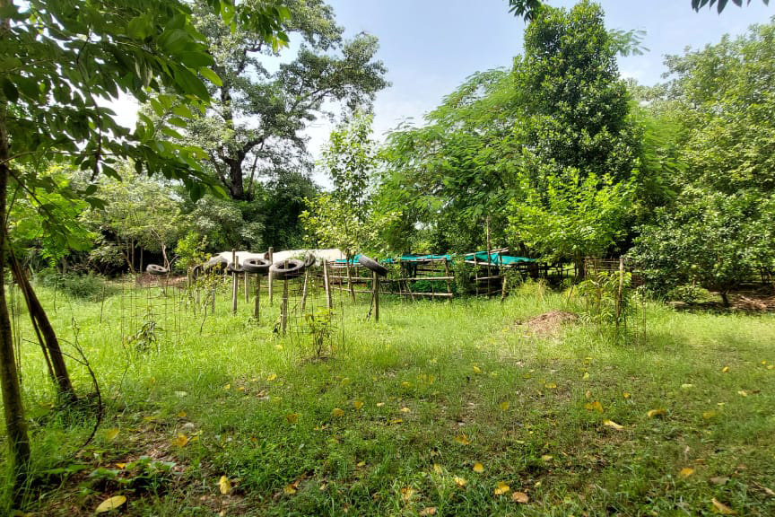 Lumbini Buddha Garden
